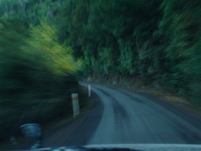 Te Papanui Conservation Area