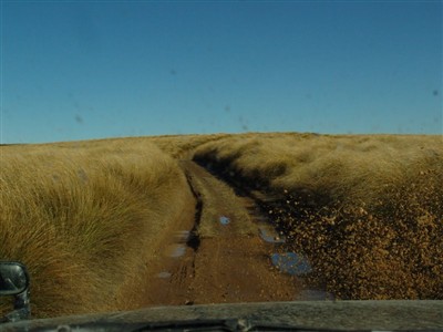 Te Papanui Conservation Park - Lester Hewitt