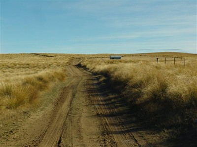 Te Papanui Conservation Park - Lester Hewitt