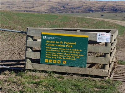 Te Papanui Conservation Park - Lester Hewitt