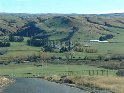 Te Papanui Conservation Park - Lester Hewitt