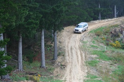 Palmerston Environs
