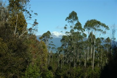 Fantastic vistas