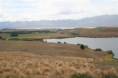 Tekapo - Glenmore Station