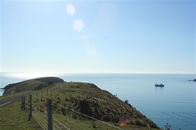 Banks Peninsula and Environs