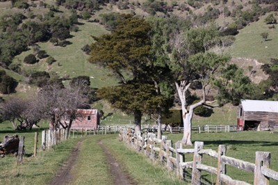 Banks Peninsula and Environs