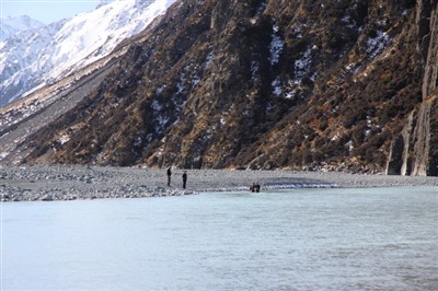 Lake Pukaki and Environs