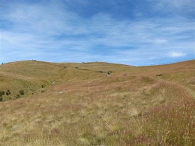 West Wanaka - Minaret Area