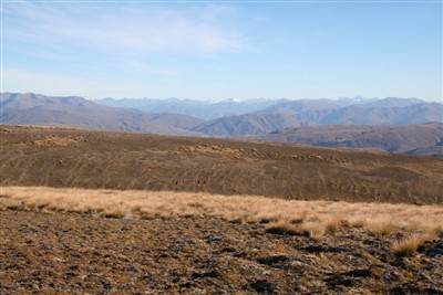 Central Otago Combined Clubs invitation