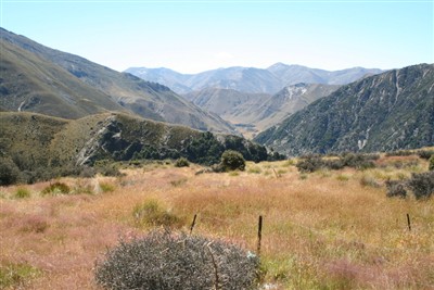 Lindis - Forest Range - photos by Ron Sim