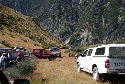 Lindis - Forest Range - photos by Ron Sim