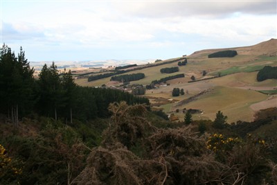 North Otago mid winter run