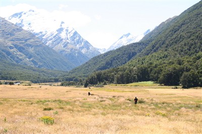 Mt Aspiring Jan 2016 - Ron Sim