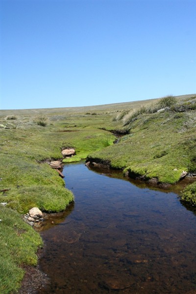 Nevis to Mitchells Cottage - Mike Vercoe
