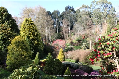 Shirley Taylor pix South Coast Safari
