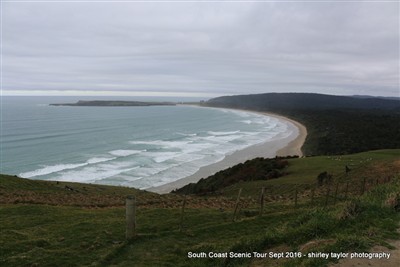 Shirley Taylor pix South Coast Safari