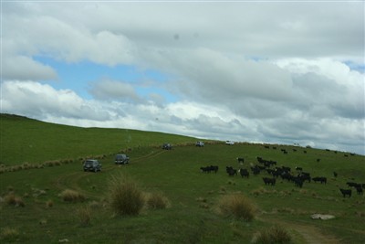 Ben Doran Lamb Hill - pix by Ian Vercoe