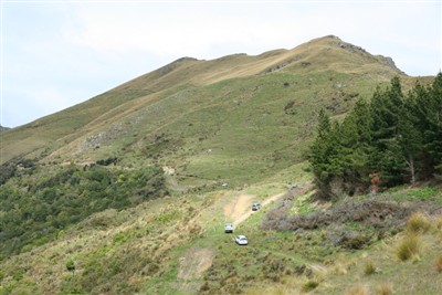 Ben Doran Lamb Hill - pix by Ian Vercoe