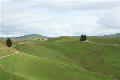 Ben Doran Lamb Hill - pix by Ian Vercoe
