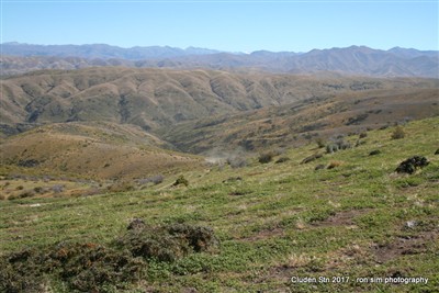 Lauder Basin - Ron Sim