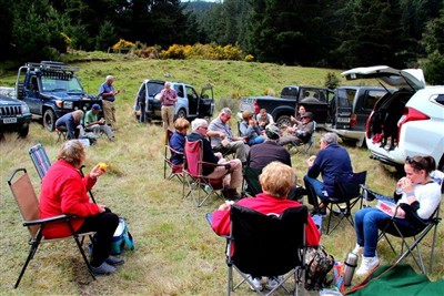 Waimate Forest - pix by Noel Pullan