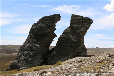 Leaning Rock / Rees Valley - Shirley Taylor