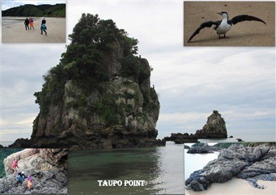Takaka and environs - pics by Noel Pullan
