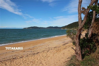 Takaka and environs - pics by Noel Pullan