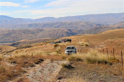 Forest Range - pics by Shirley Taylor
