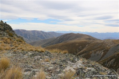 Mt Nessing - South Canterbury