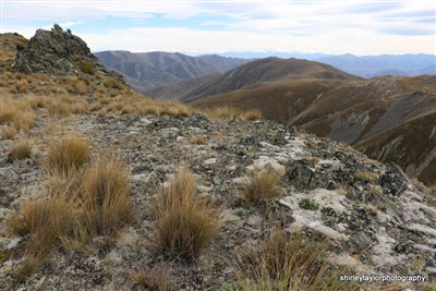 Mt Nessing - South Canterbury