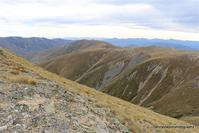 Mt Nessing - South Canterbury