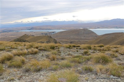 Mt Hay - Tekapo area