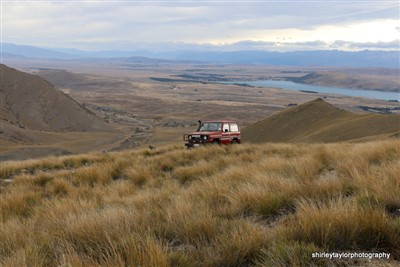 Mt Hay - Tekapo area