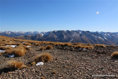 Ribbonwood Station - Ohau area