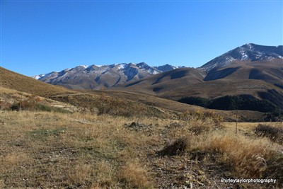 Ribbonwood Station - Ohau area