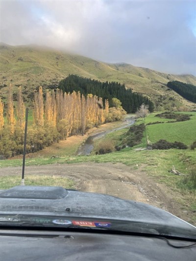 Mt Whitnow - pix by Glenn McGregor