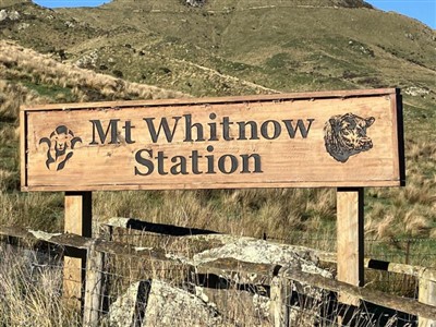 Mt Whitnow - pix by Glenn McGregor