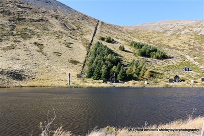 Mt Lyford and environs - pix by Shirley Taylor