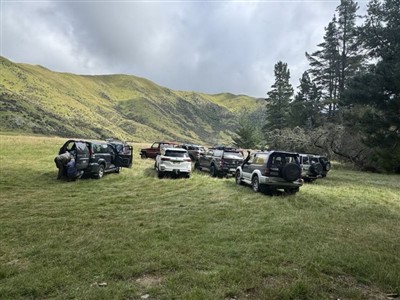 Orari Gorge River Track