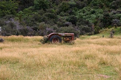 Wanaka Environs 5