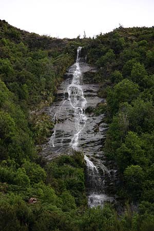 Wanaka Environs 11