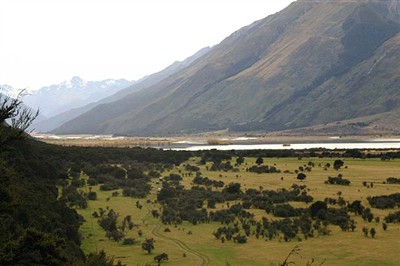 Wanaka Environs 12