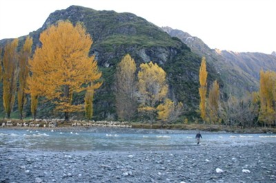 Wanaka Environs Day 2