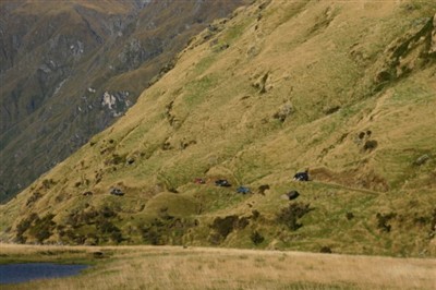 Wanaka Environs Day 2