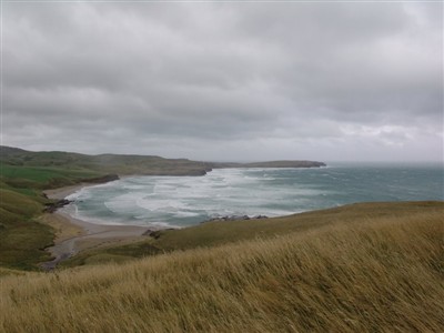 Catlins Combined Clubs - Lester Hewitt